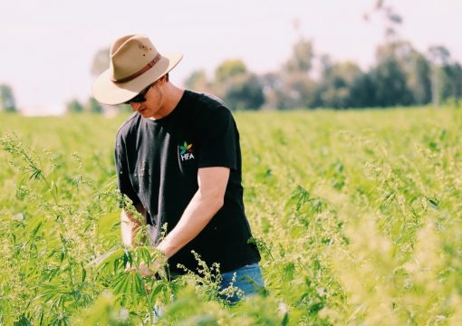 How Hemp Is Changing The Agricultural Industry