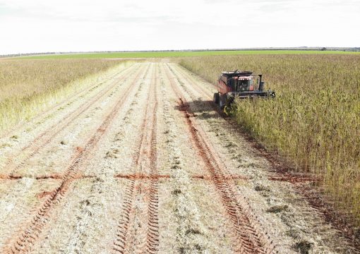 Aussie Hemp | Aussie Grown | Aussie Good