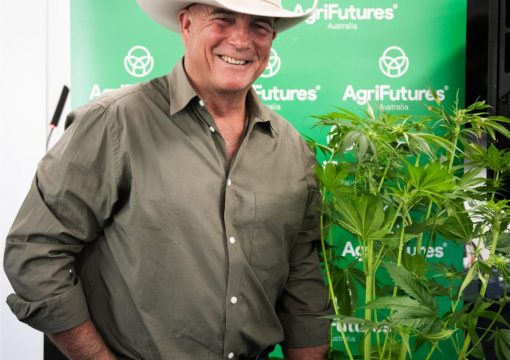 Country music legend James Blundell shares industrial hemp trial results