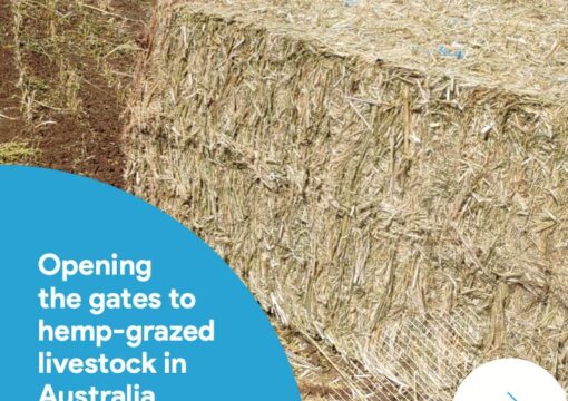 Opening the Gates to Hemp-Grazed Livestock