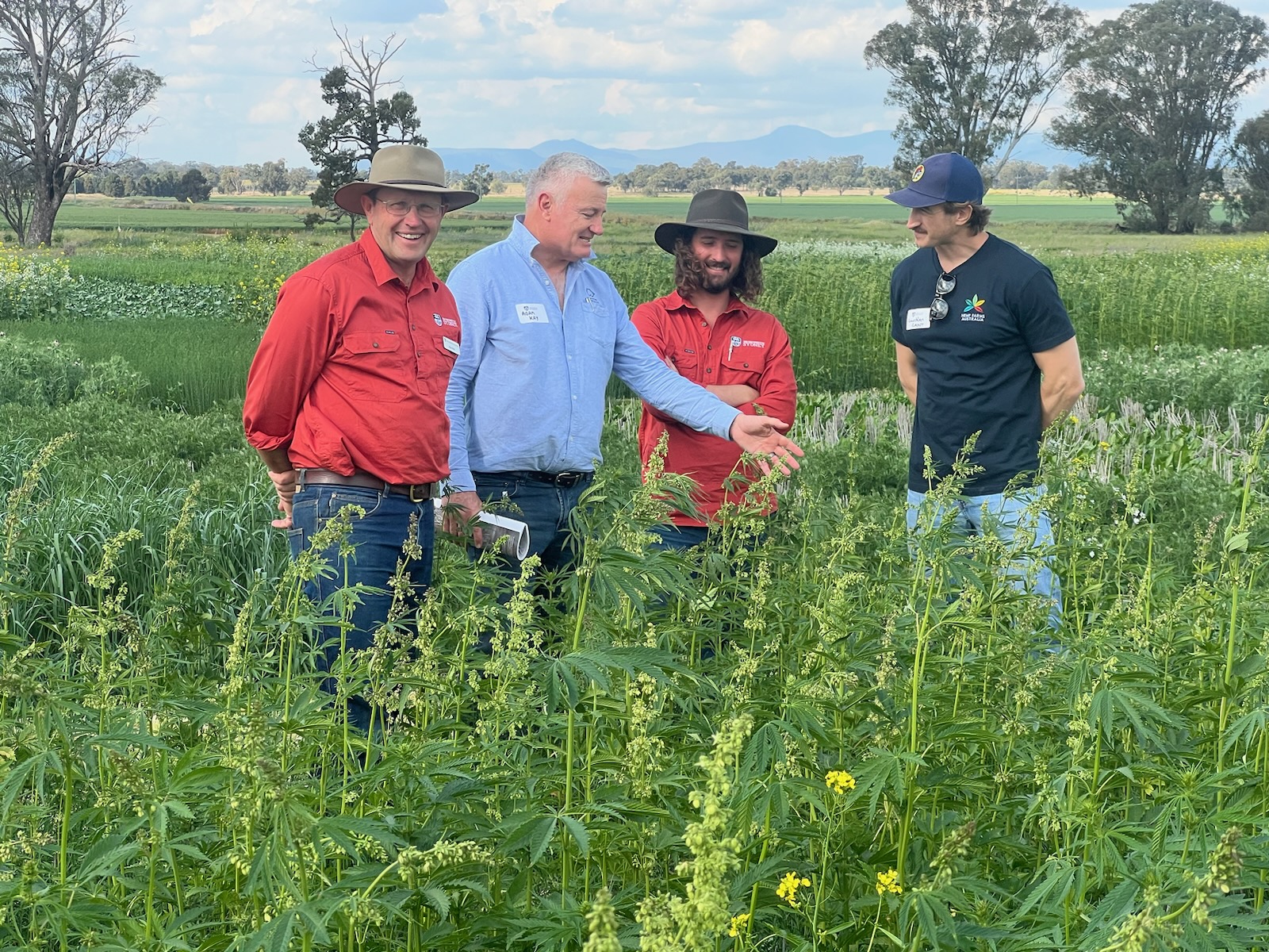 Narrabri Field Day - HempFarmsAus_Ruby7