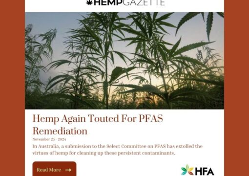 Hemp Again Touted for PFAS Remediation